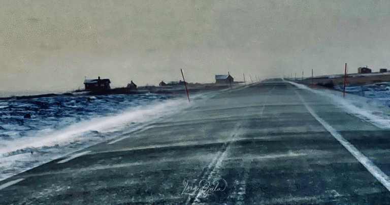 Foto Irene Ojala, Arctic Footprints.